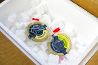 Two containers of Fulton Fish Market caviar in a box with packing material