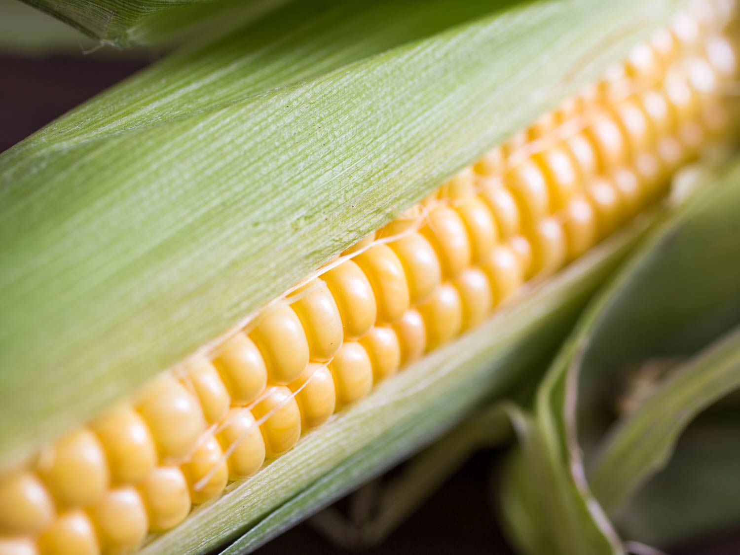 20150802-corn-vicky-wasik-1