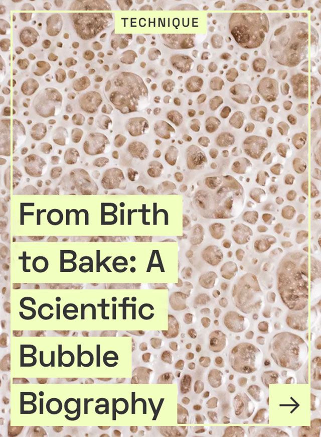 From Birth to Bake graphic