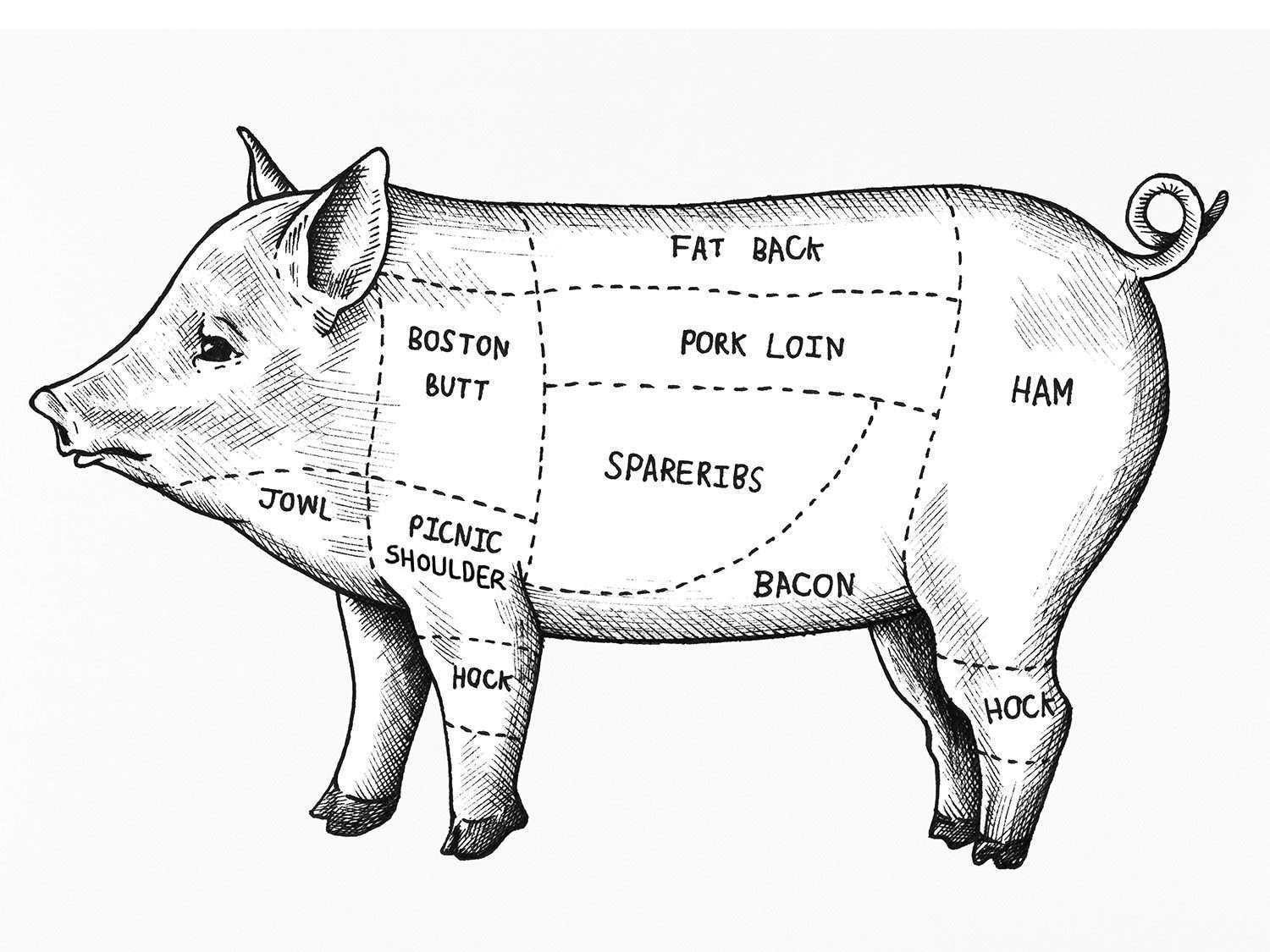 A pig butchery chart