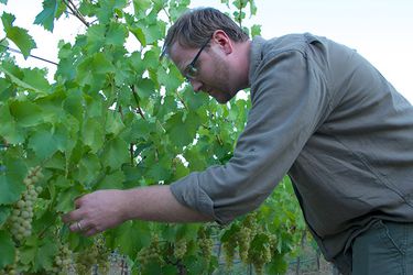 Dan Petroski of Massican