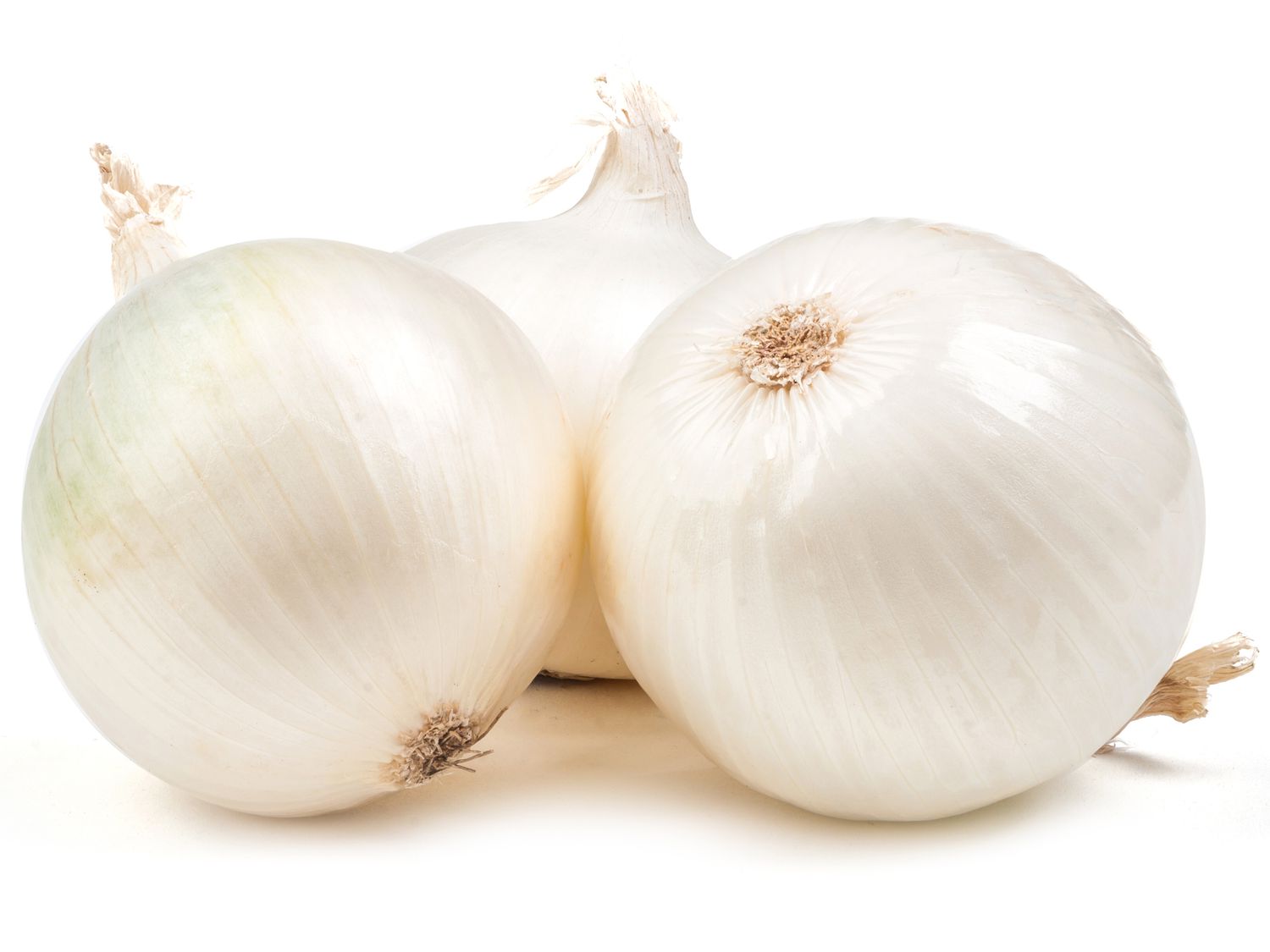 Side view of white onion