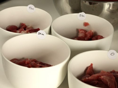 4 bowls of pork shoulder chunks salted and unsalted time-stamped 