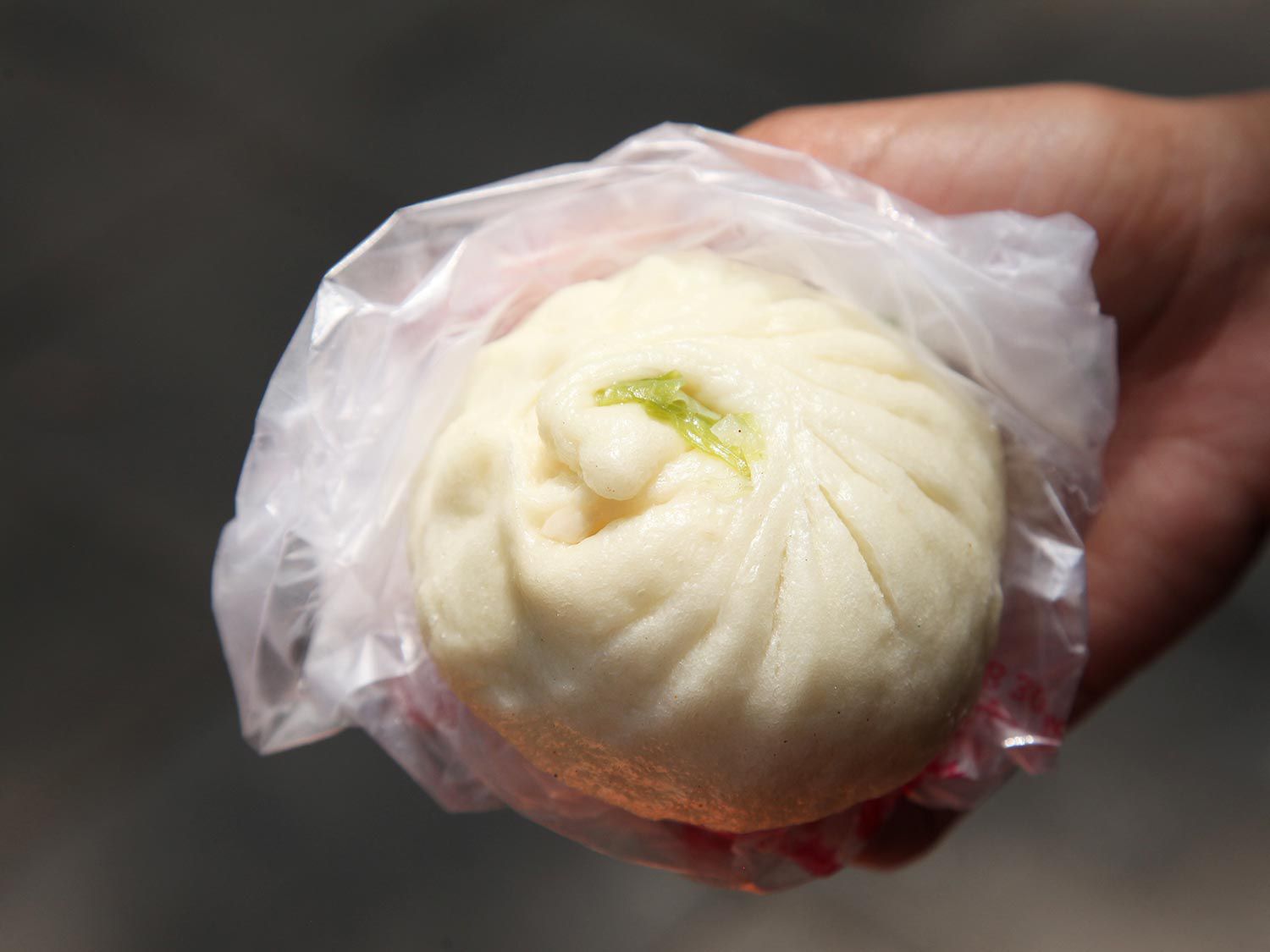 20140618-beijing-hutong-steamed-bun-dumpling-pig-02.jpg