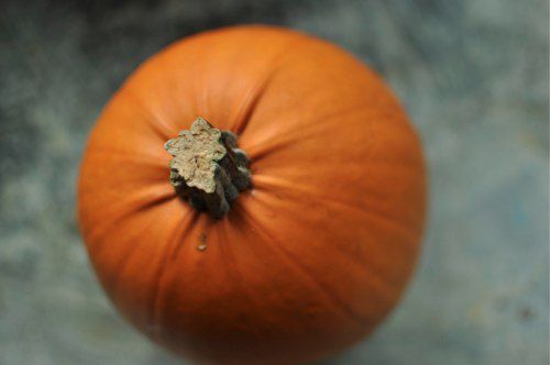 20111014-175122-sugar-pumpkin.jpg