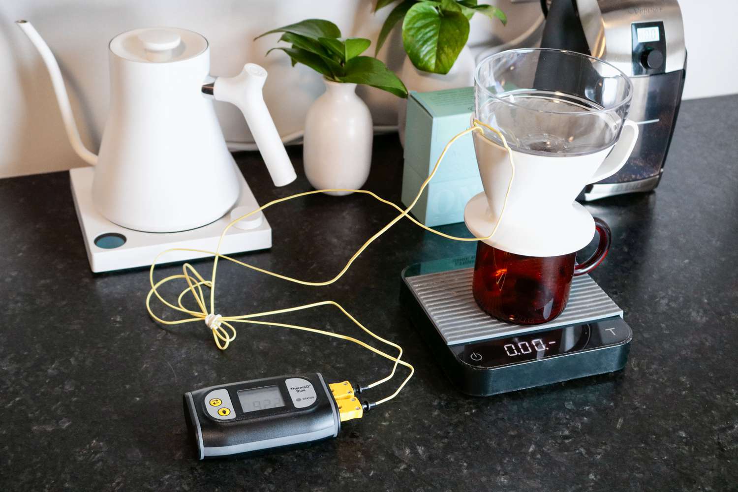 Thermocouple probes positioned in a pourover brewer