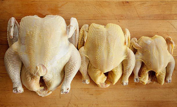 3 different sizes of chicken on a work surface: a large roaster chicken, a medium-sized broiler/fryer chicken, and a small Cornish hen.