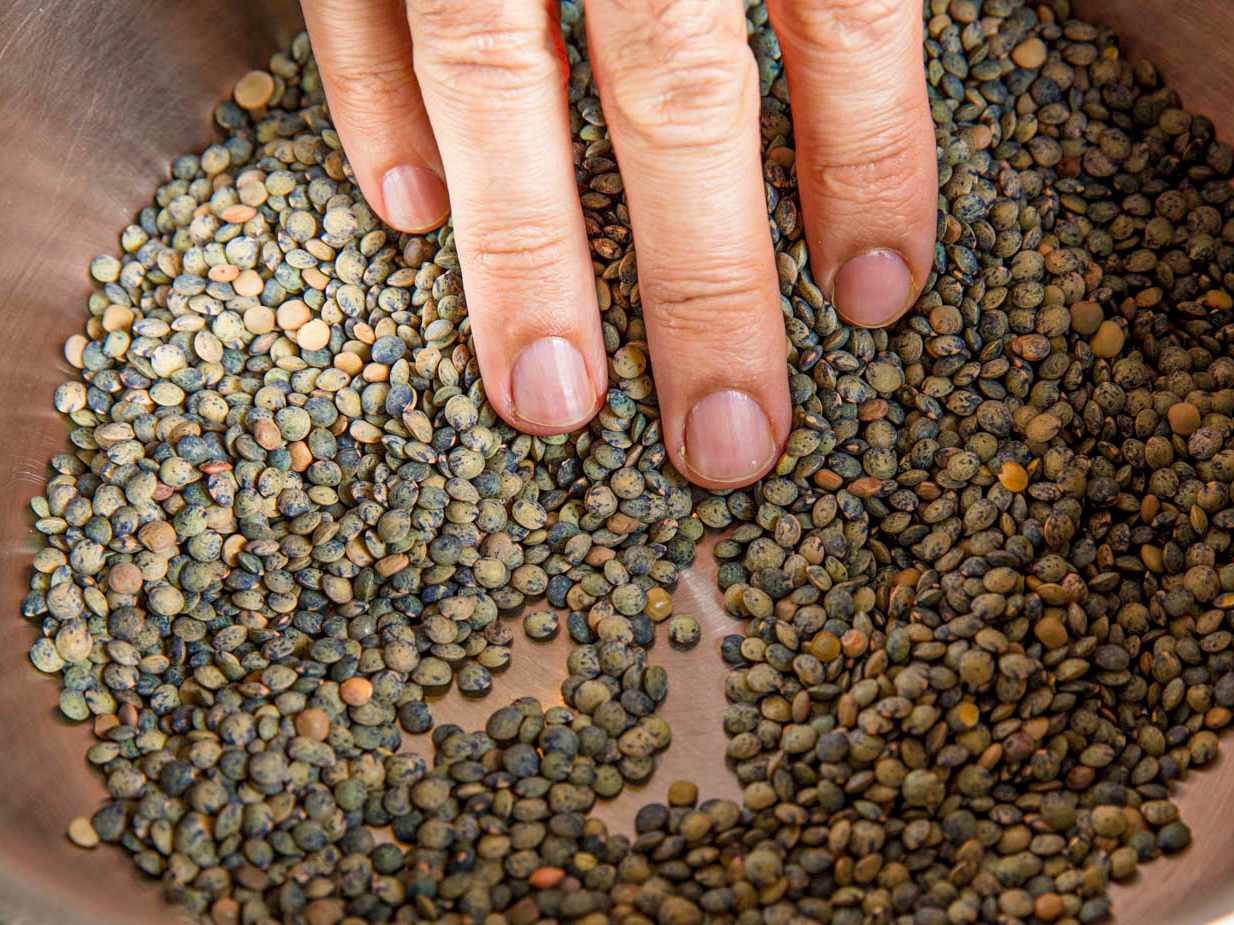 Hand touching a bowl of lentils focus on the lentils and fingers