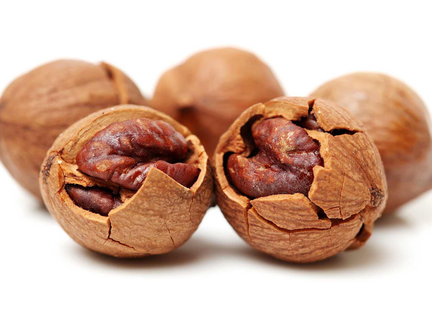 Close-up of hickory nuts cracked open