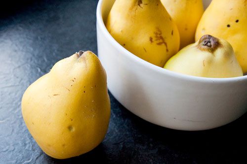 Closeup of ripe quinces, ready to make into brandy.