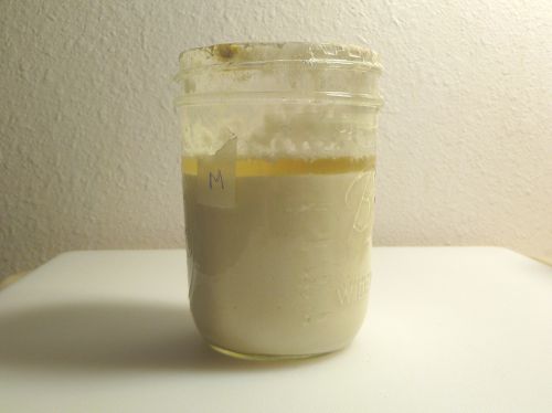 20110101-sourdough hootch.JPG