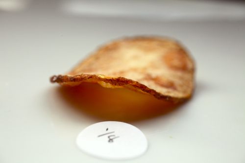20100924-food-lab-chips-cooked-thick.jpg