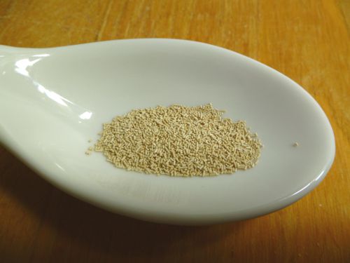 20101102 yeast instant.JPG