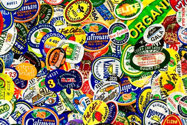 A variety of fruit stickers clustered together