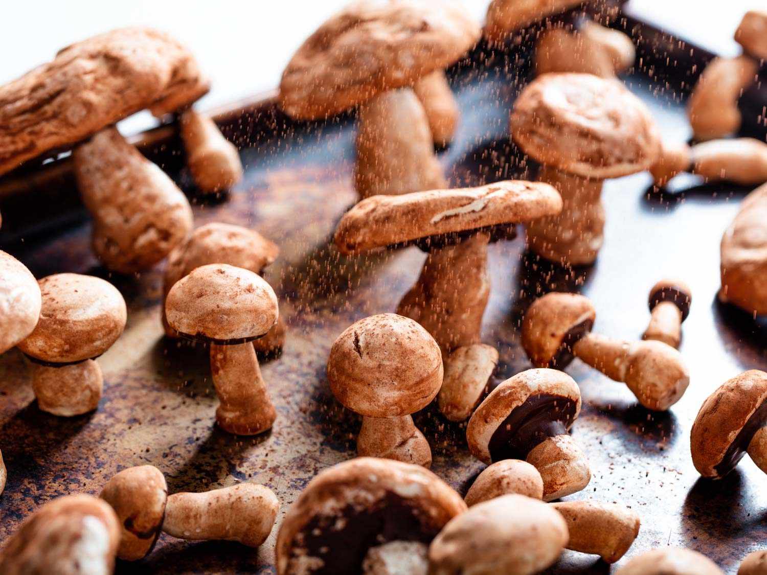 A side view of upright meringue mushrooms being dusted with cocoa powder. Some look like shiitake, some like porcinis, some like button mushrooms.