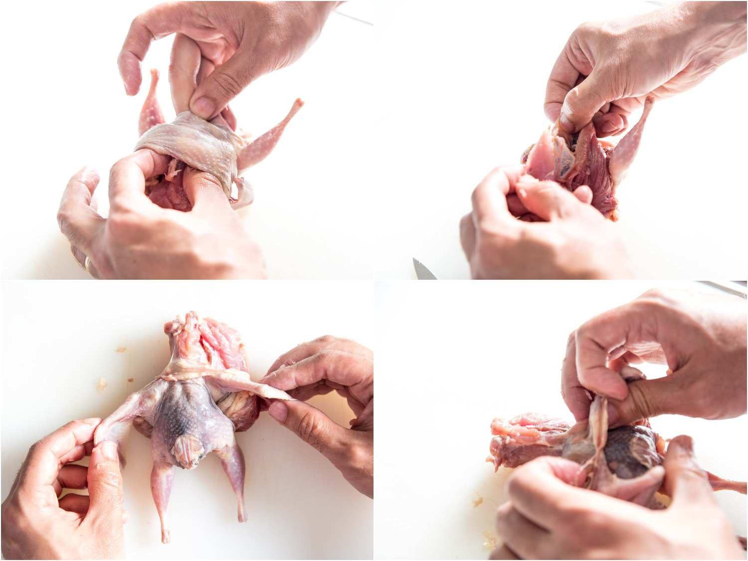 Collage of removing the breastbone and rib cage of a quail as part of the deboning process