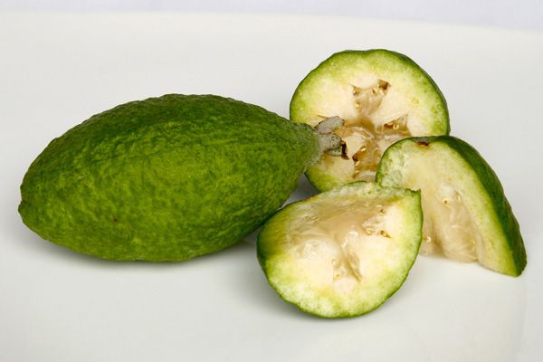 South American Fruit