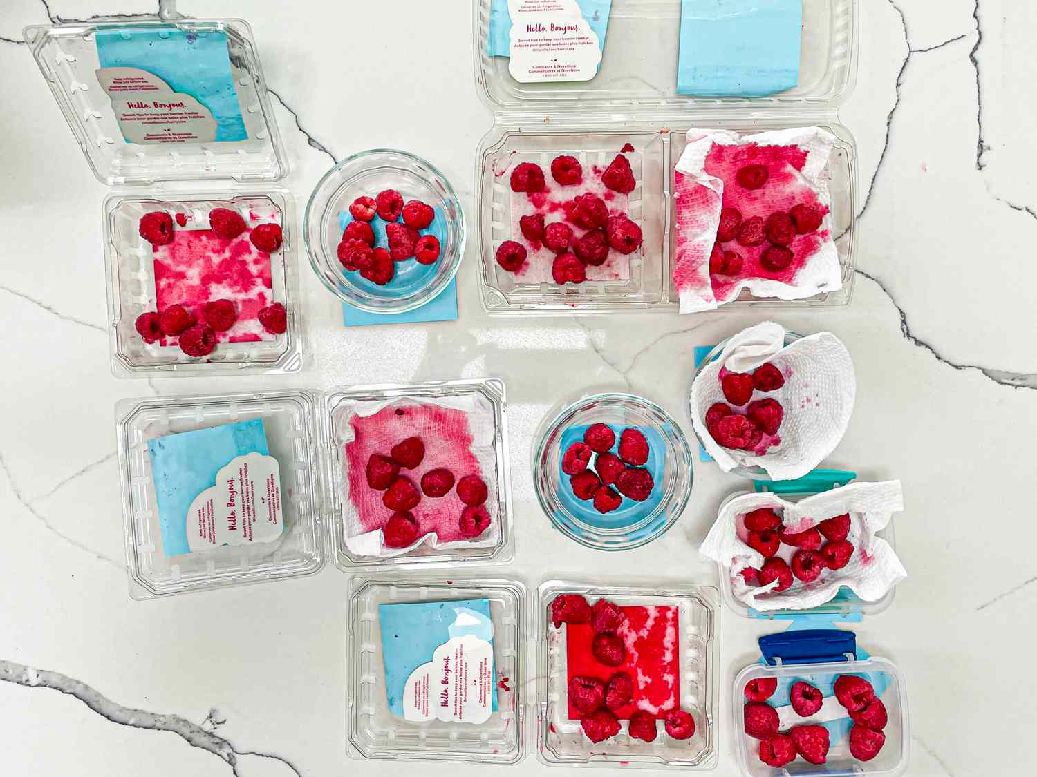 Overhead view of raspberry storage tests 