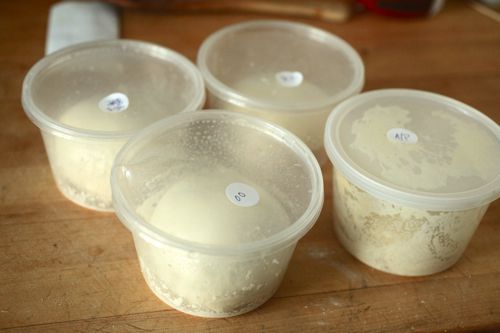 Pizza dough divided into deli containers