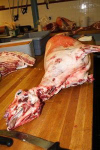 raw lamb carcass