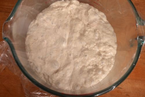 Bread dough in mid-level stage of fermentation in large glass measuring bowl