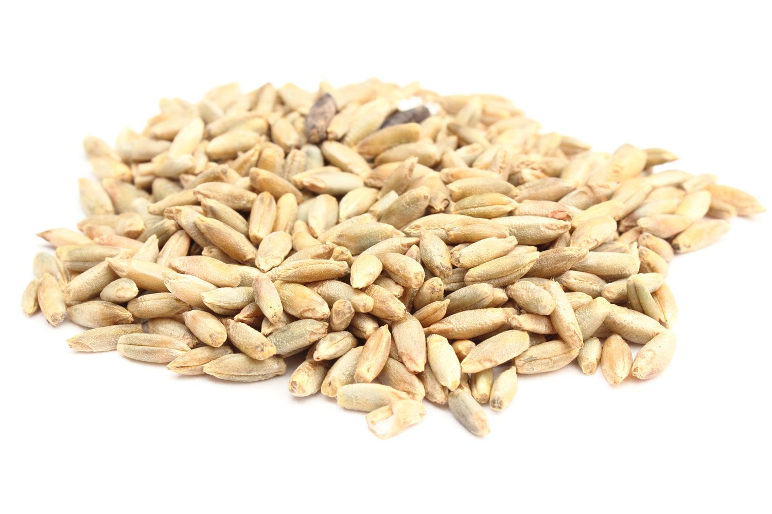 A small pile of uncooked rye berries. 