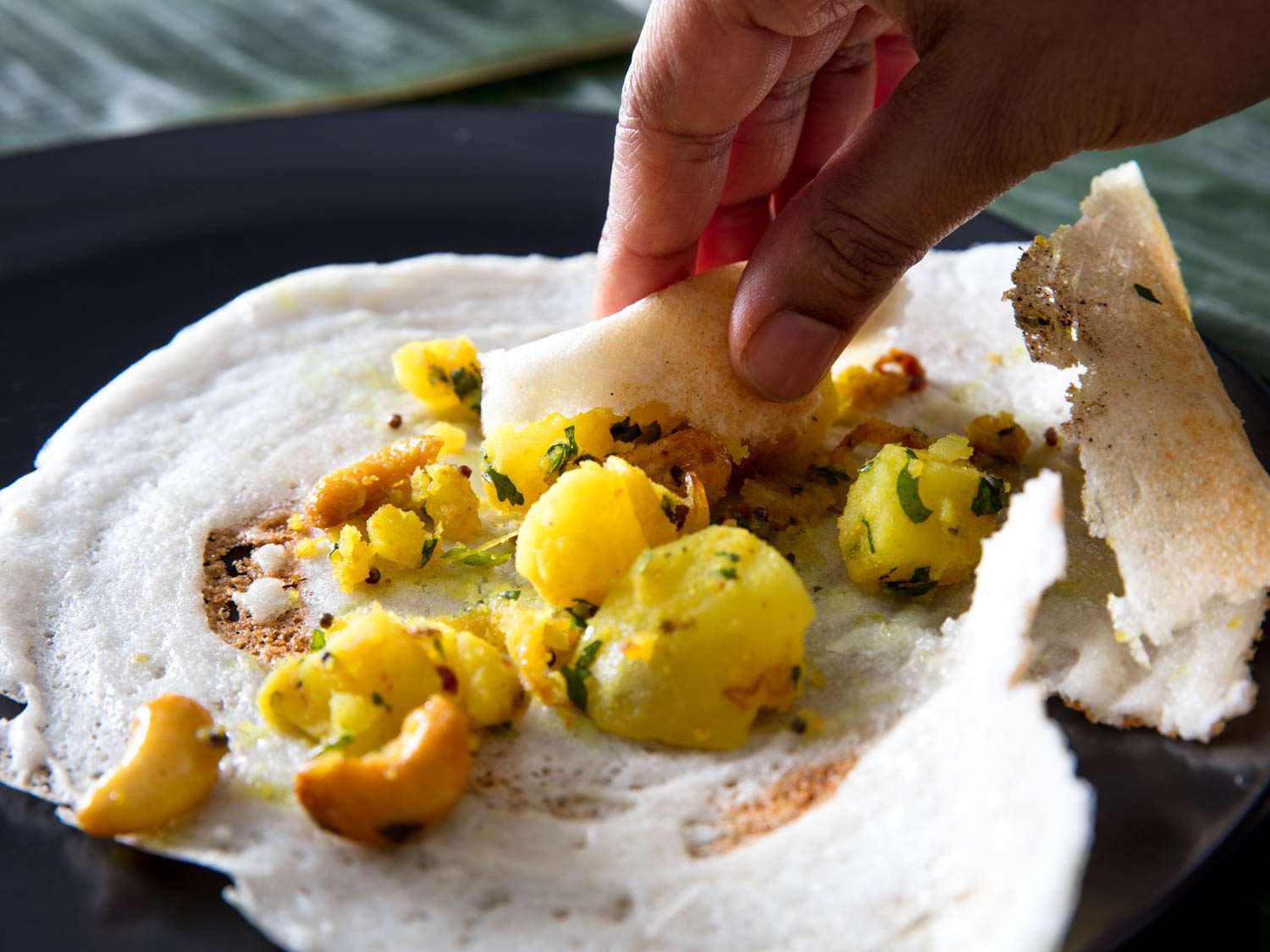 A hand picking up potato filling with a portion of dosa.