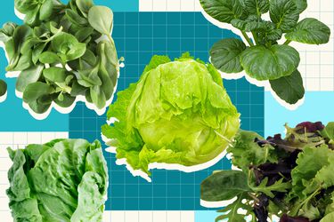 Lettuce Graphic