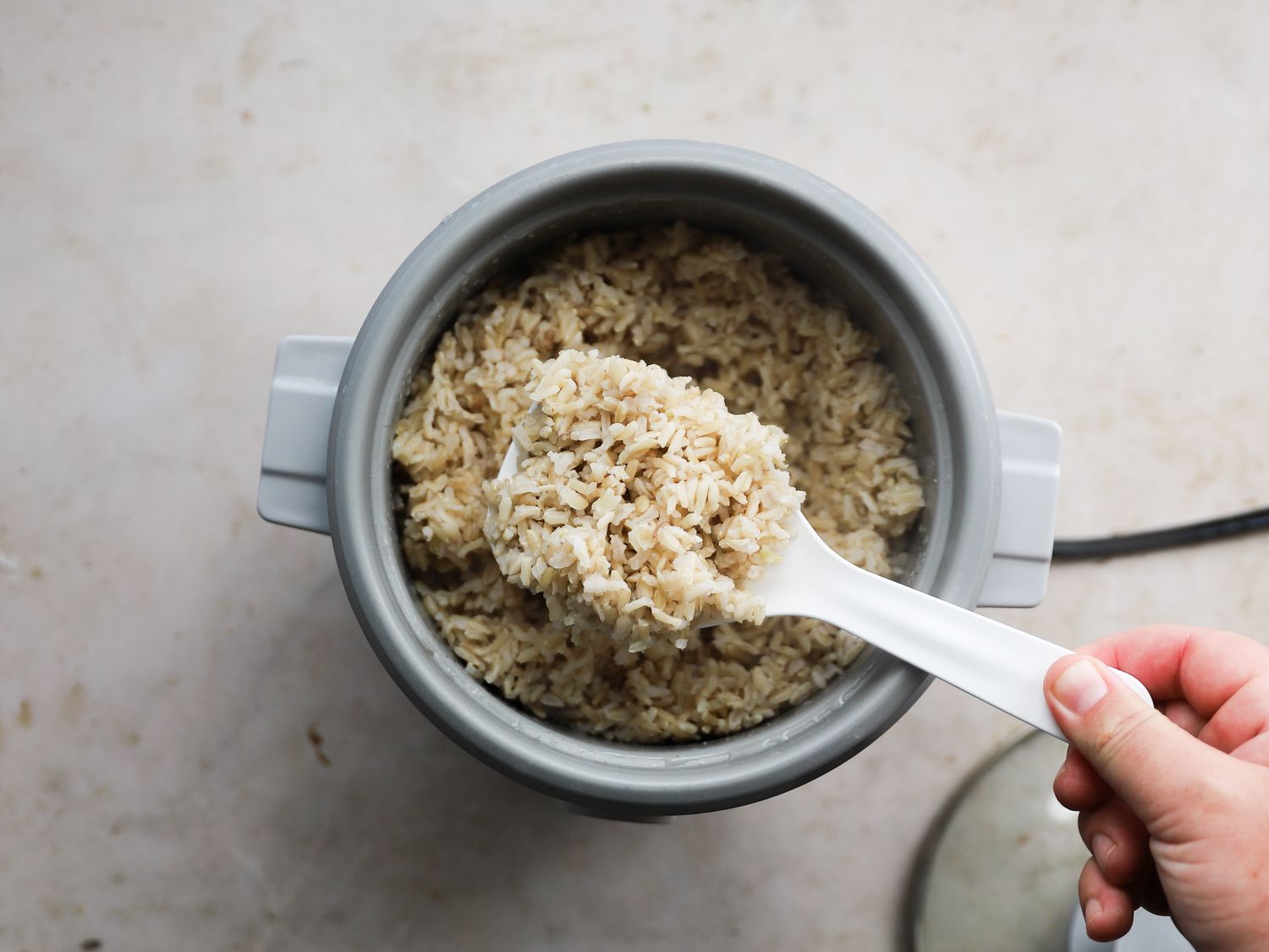A spoonful of brown rice from the Zojirushi 3-cup rice cooker