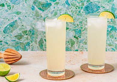 Side view of two palomas 