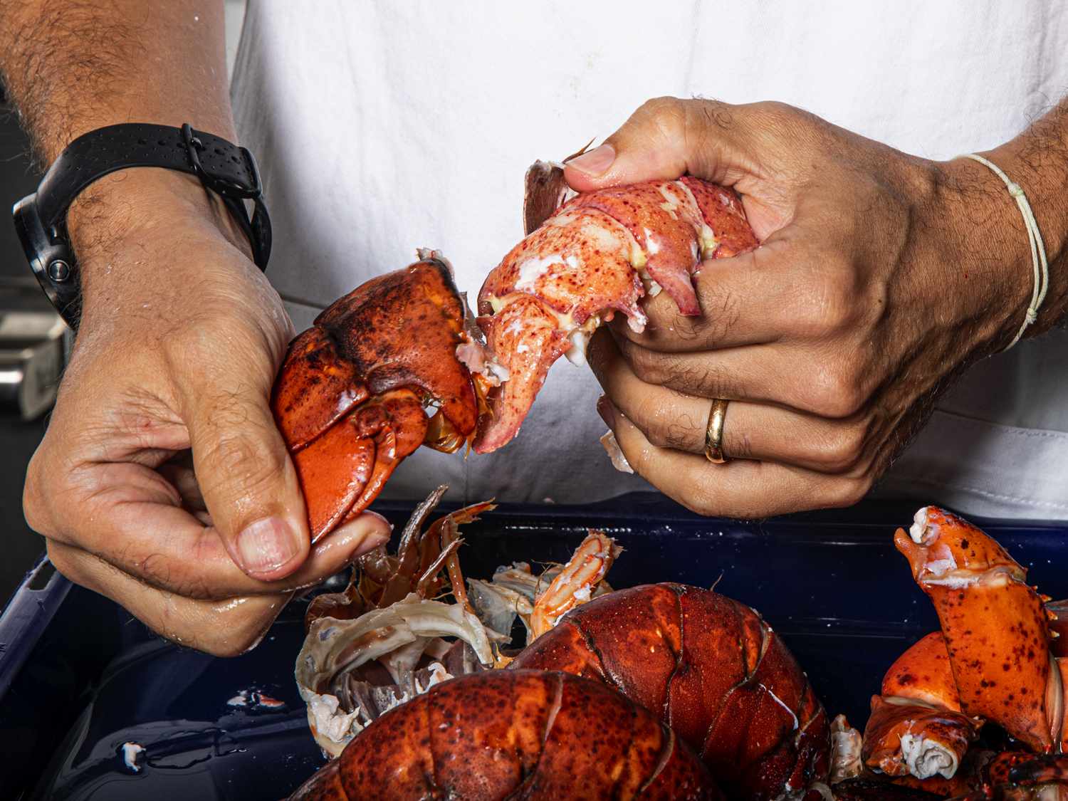 Hands pulling lobster meat out of the tail shell
