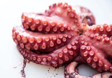 Close-up of the mouth and tentacles of a cooked octopus.