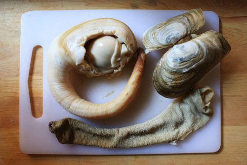 raw geoduck on a cutting board