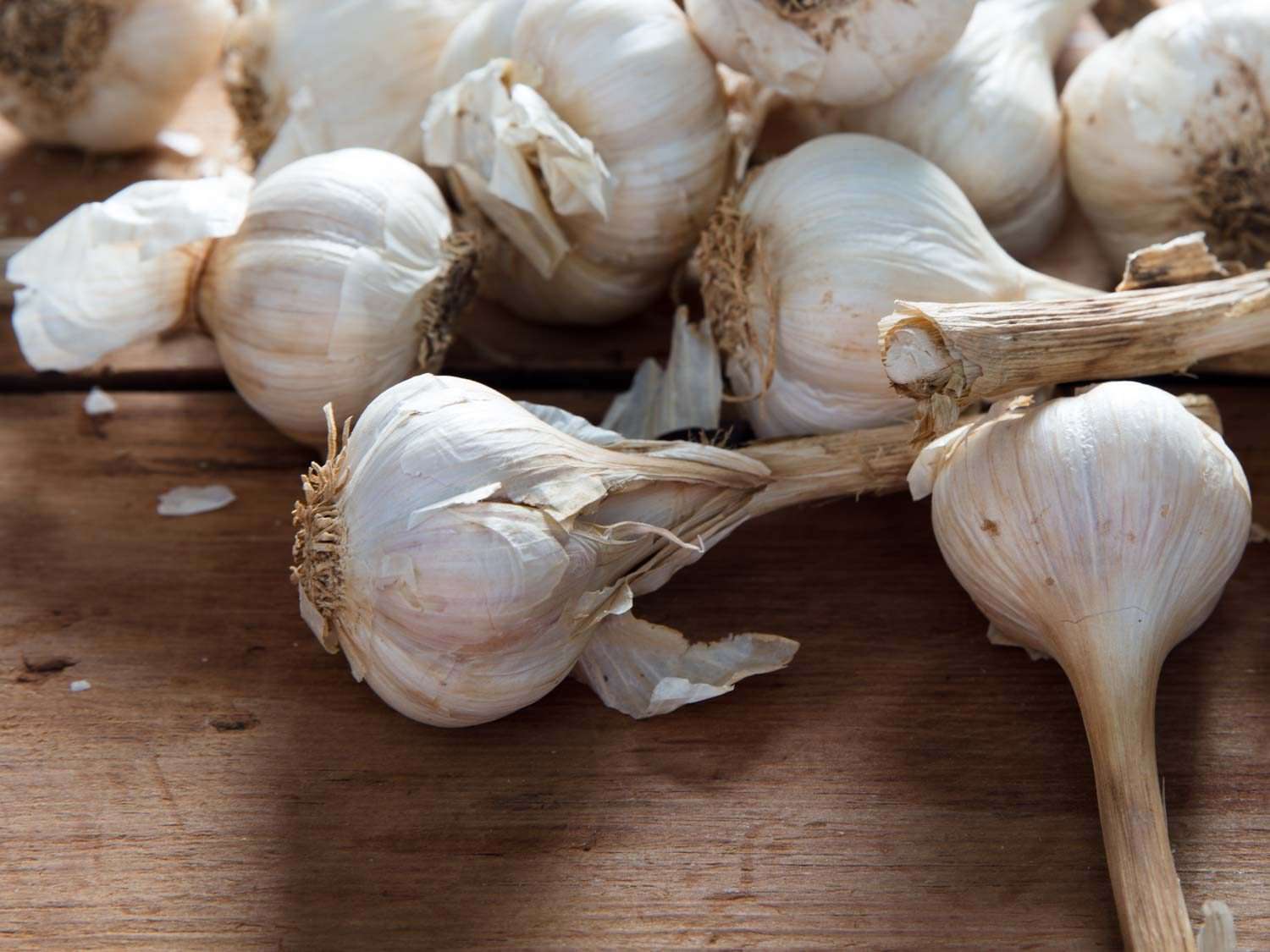 Closeup of unpeeled, whole garlic bulbs.