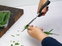 a person cutting chives with the shun blades