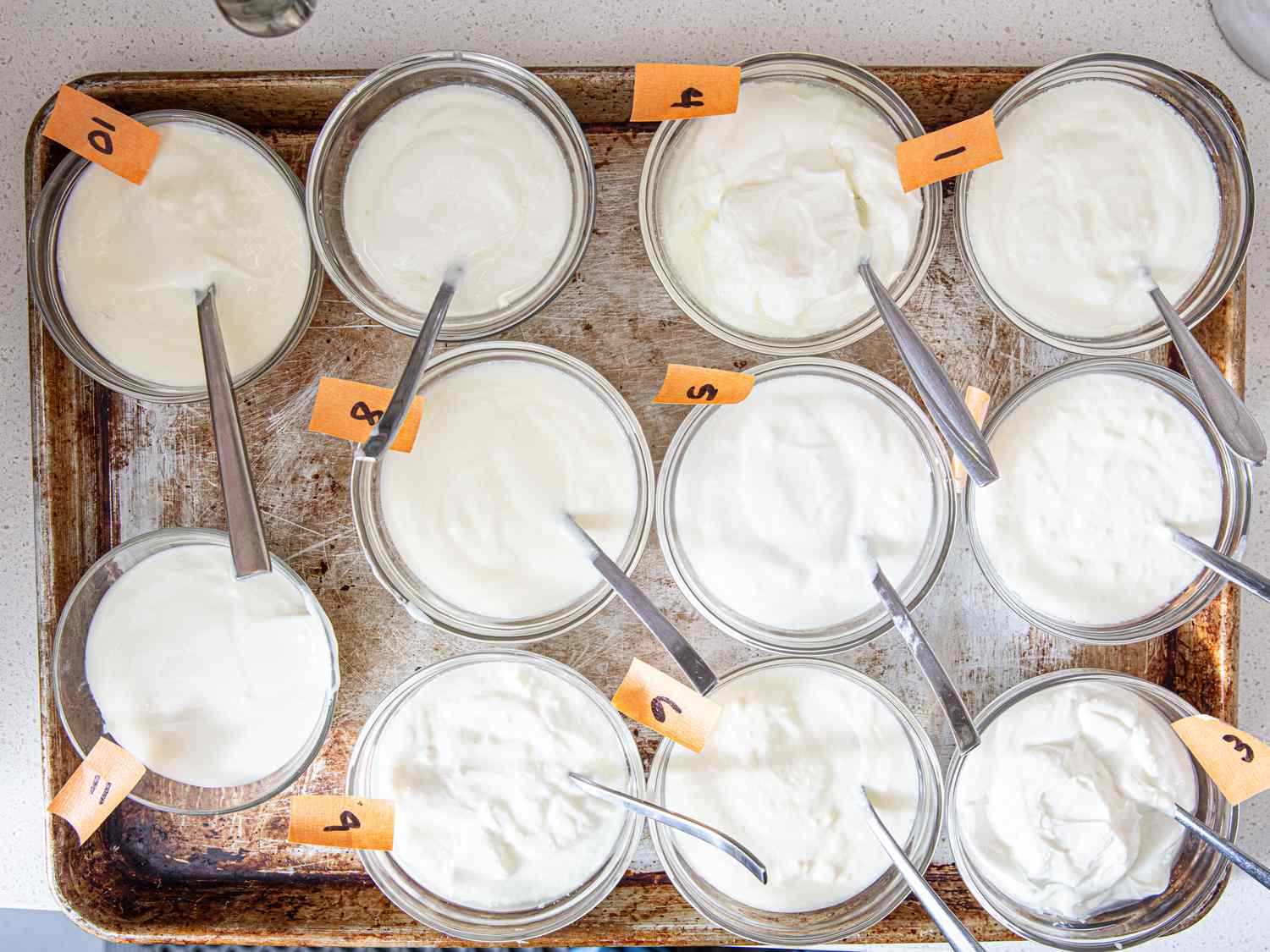 Overhead view of yogurt samples