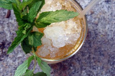 20110322julepprim.jpg