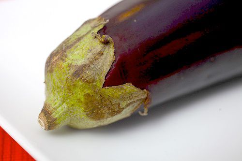 Close-up of the stem end of an eggplant.
