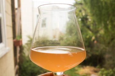 20150723-brewing-a-fast-sour-beer-steve-hoyt.jpg