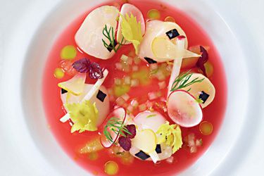 Nantucket Scallop Ceviche, Blood Orange Sauce