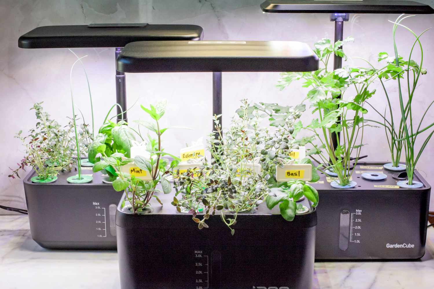 Three indoor herb gardens growing various herbs.