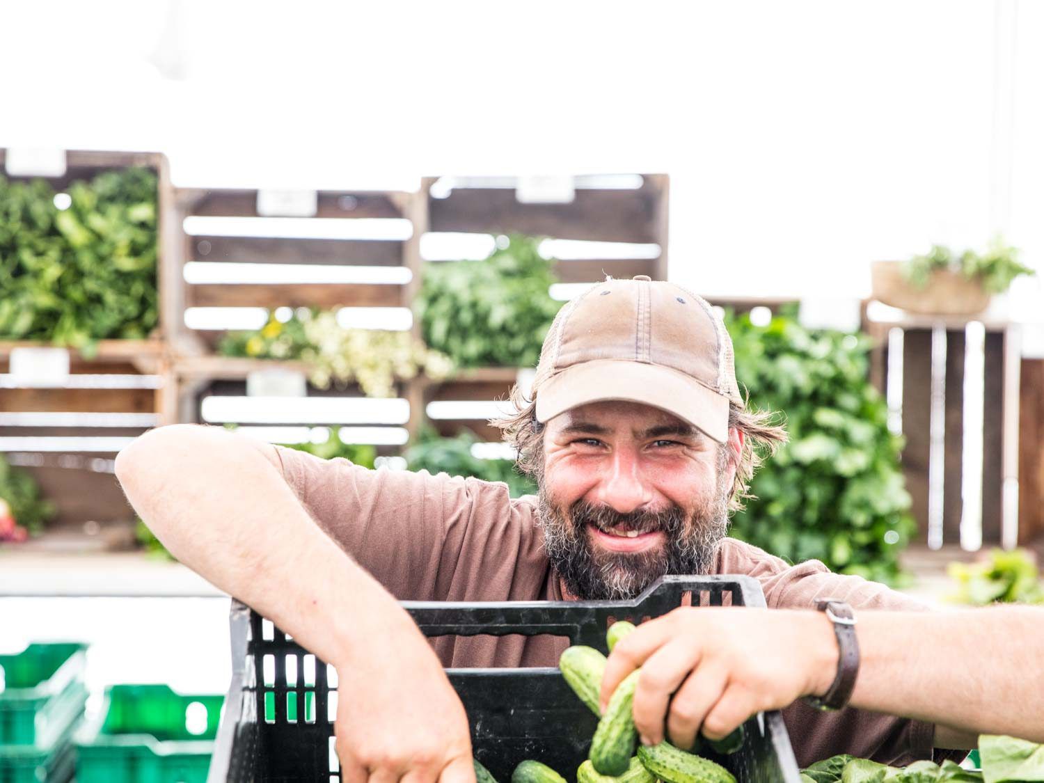 Organic farmer Greg Swartz at the Willow Wisp farmers market stand, pictured with a crate of cucumbers