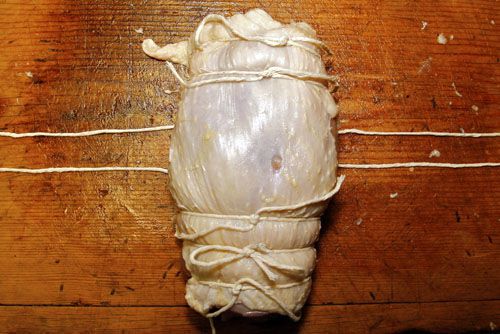 20091117-6- stuffed-turkey-half-tied.jpg