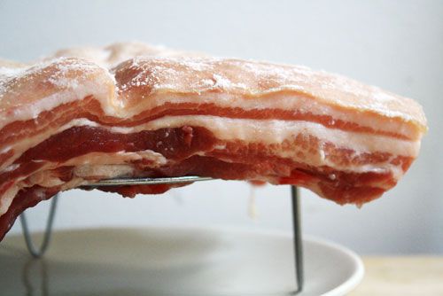 A side view of a cut of pork belly on a wire rack and rubbed with baking soda.
