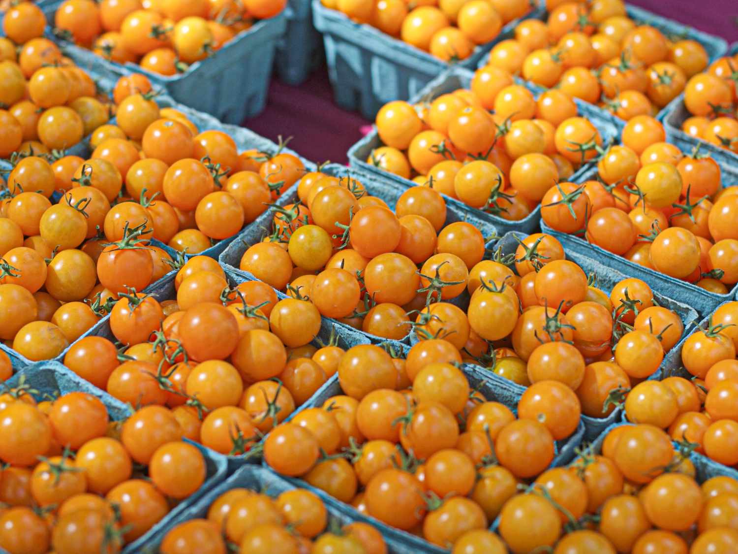 Multiple baskets of orange cherry tomatoes arranged on a table