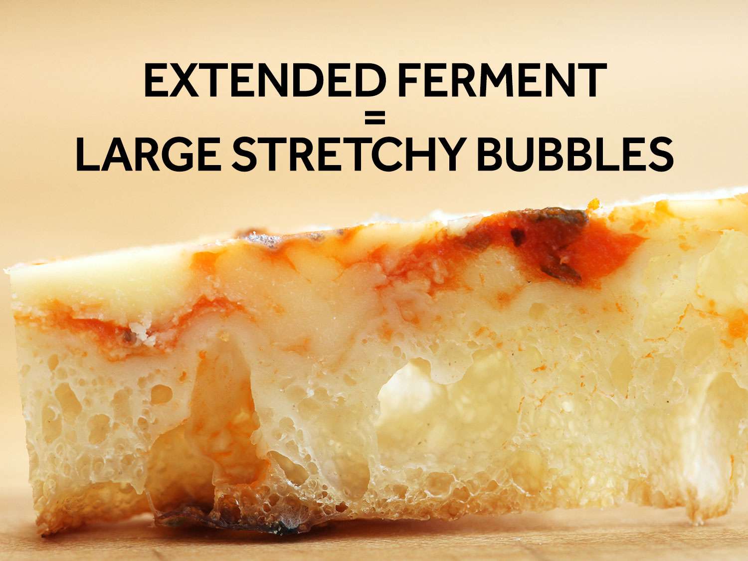 Cross section of cooked pizza crust with many large air bubbles. The text reads extended ferment = large stretchy bubbles.