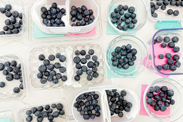 Blueberry experiments lined up on a counter.