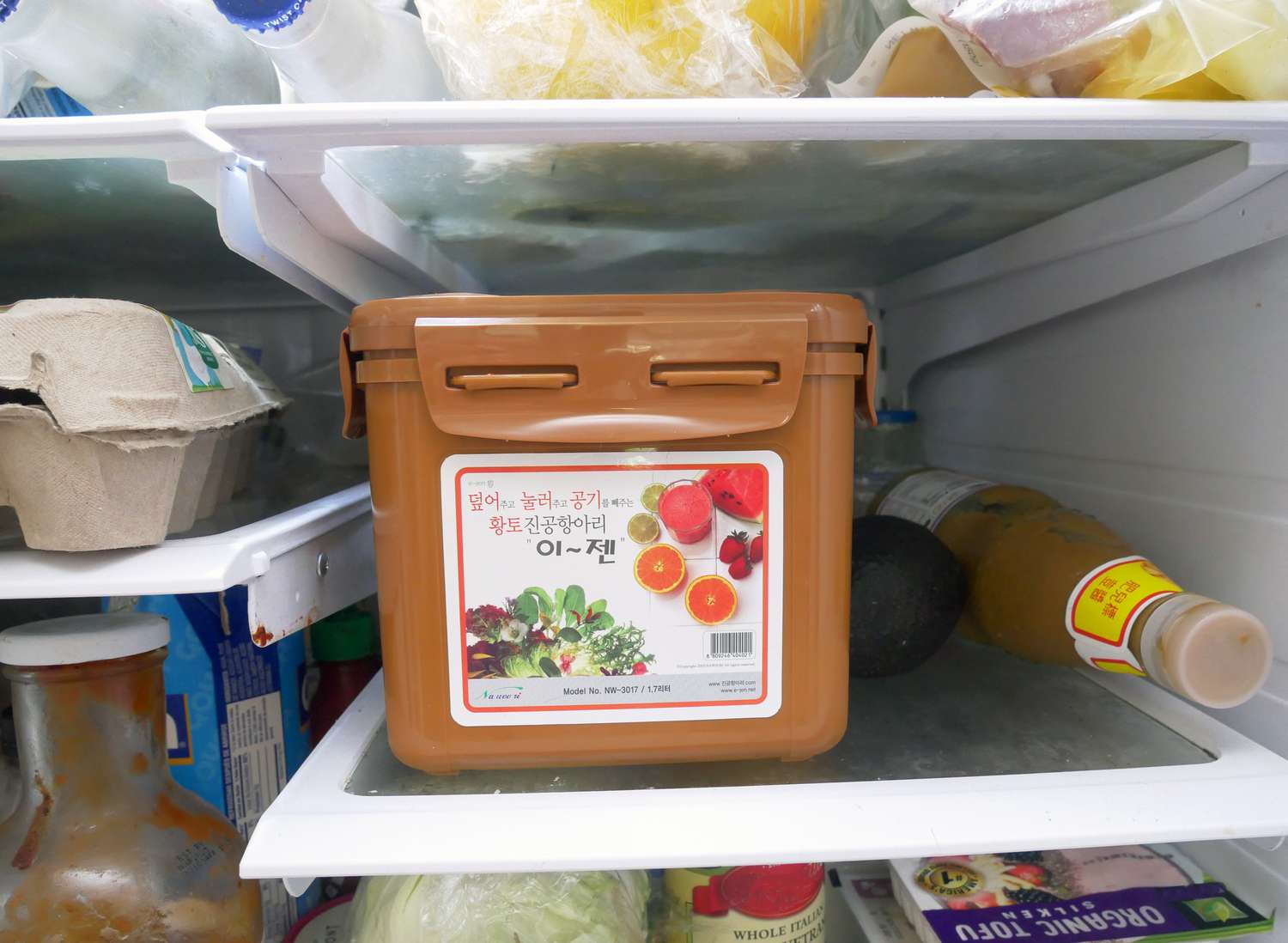 a fermentation container on the shelf of a fridge