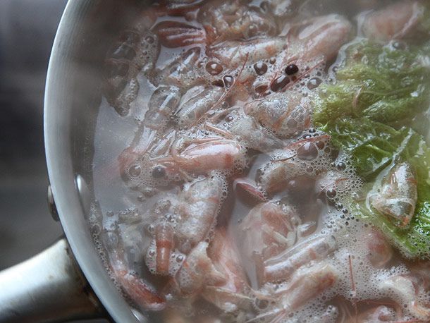 Shrimp shells floating on top of a chicken/pork broth. 