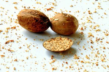 20110303-140132-nutmeg-big.JPG